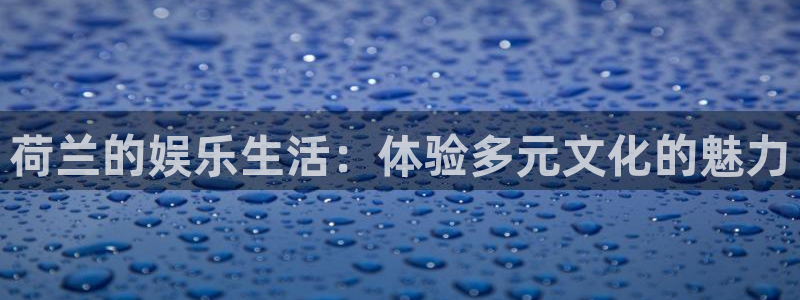 星空娱乐游戏：荷兰的娱乐生活：体验多元文化的魅力