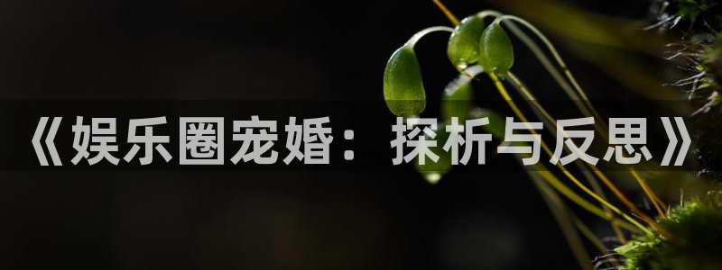 星空娱乐app下载安装：《娱乐圈宠婚：探析与反思》