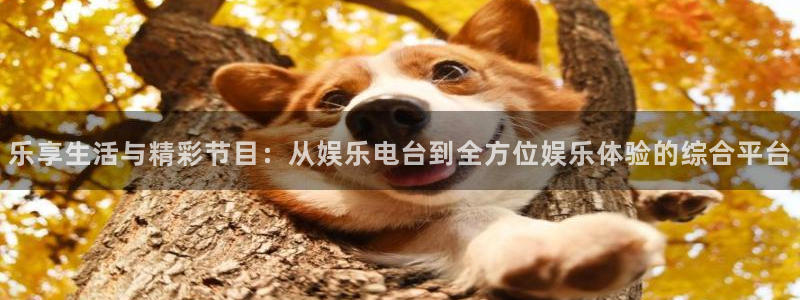 星空娱乐官网：乐享生活与精彩节目：从娱乐电台到全方位娱乐体验的综合平台