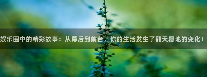 星空娱乐.：娱乐圈中的精彩故事：从幕后到前台，你的生活发生了翻天覆地的变化！