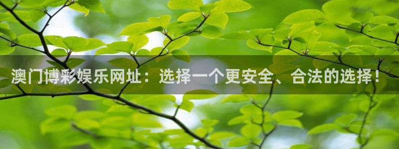 星空娱乐app：澳门博彩娱乐网址：选择一个更安全、合法的选择！