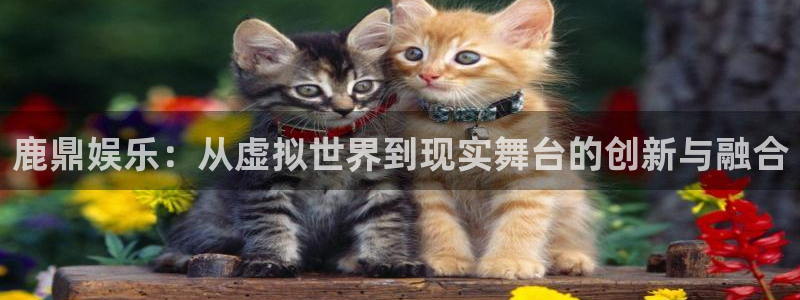 星空娱乐城：鹿鼎娱乐：从虚拟世界到现实舞台的创新与融合
