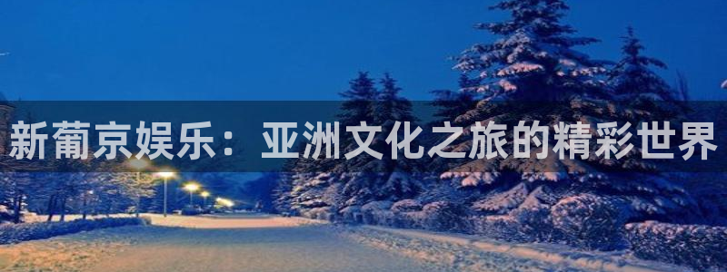 星空娱乐官网：新葡京娱乐：亚洲文化之旅的精彩世界