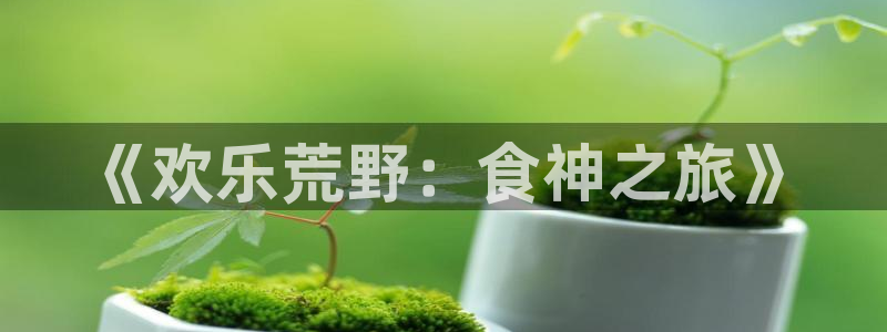 93299星空娱乐最新网址：《欢乐荒野：食神之旅》