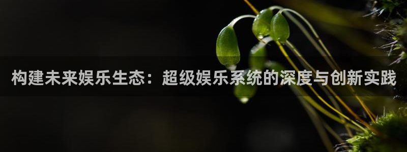 星空娱乐游戏：构建未来娱乐生态：超级娱乐系统的深度与创新实践